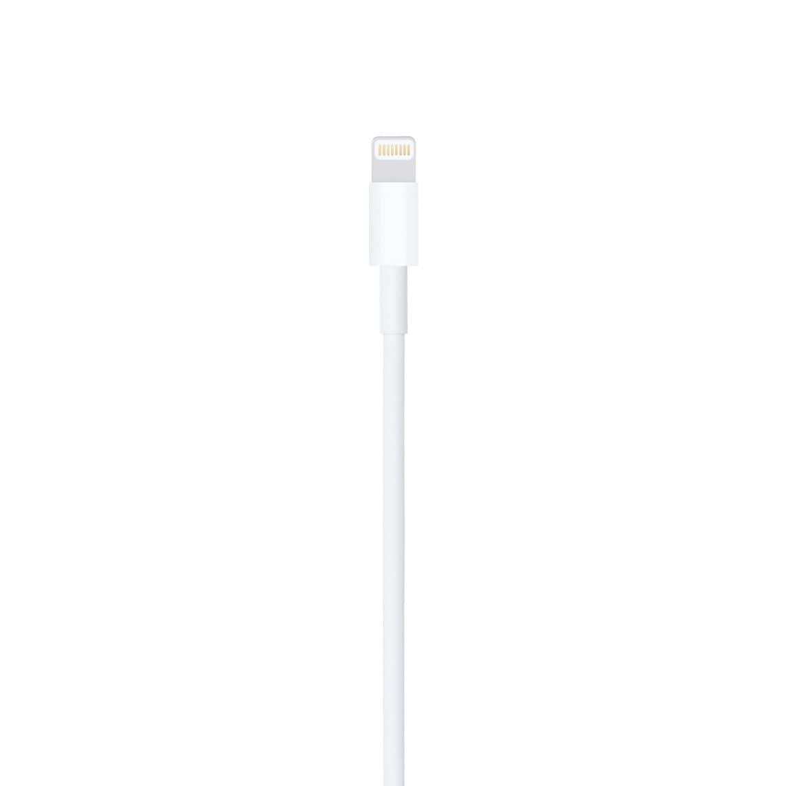 Lightning to USB Cable (1 m)