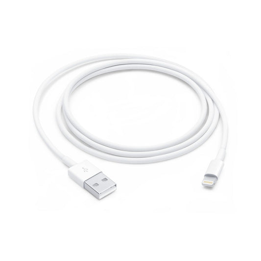 Lightning to USB Cable (1 m)