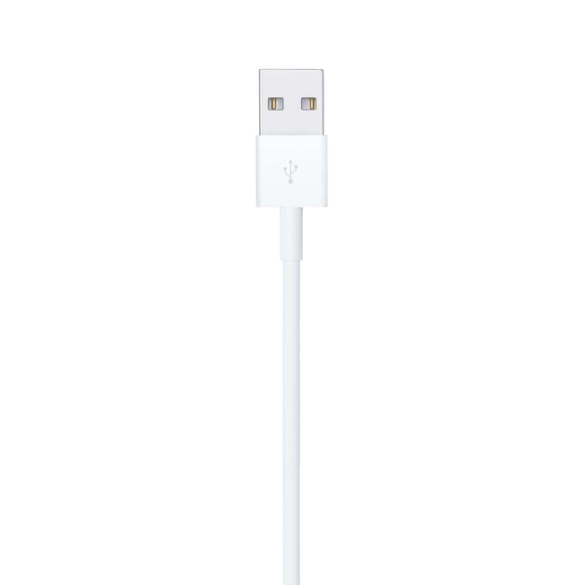 Lightning to USB Cable (1 m)