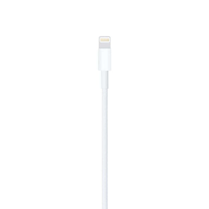 USB-C to Lightning Cable (1 m)