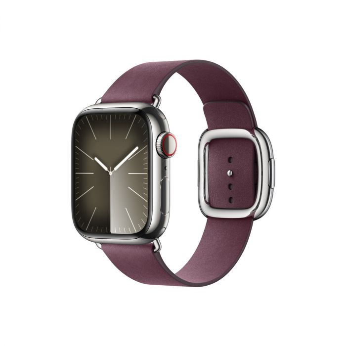 Modern Buckle - Watch Band